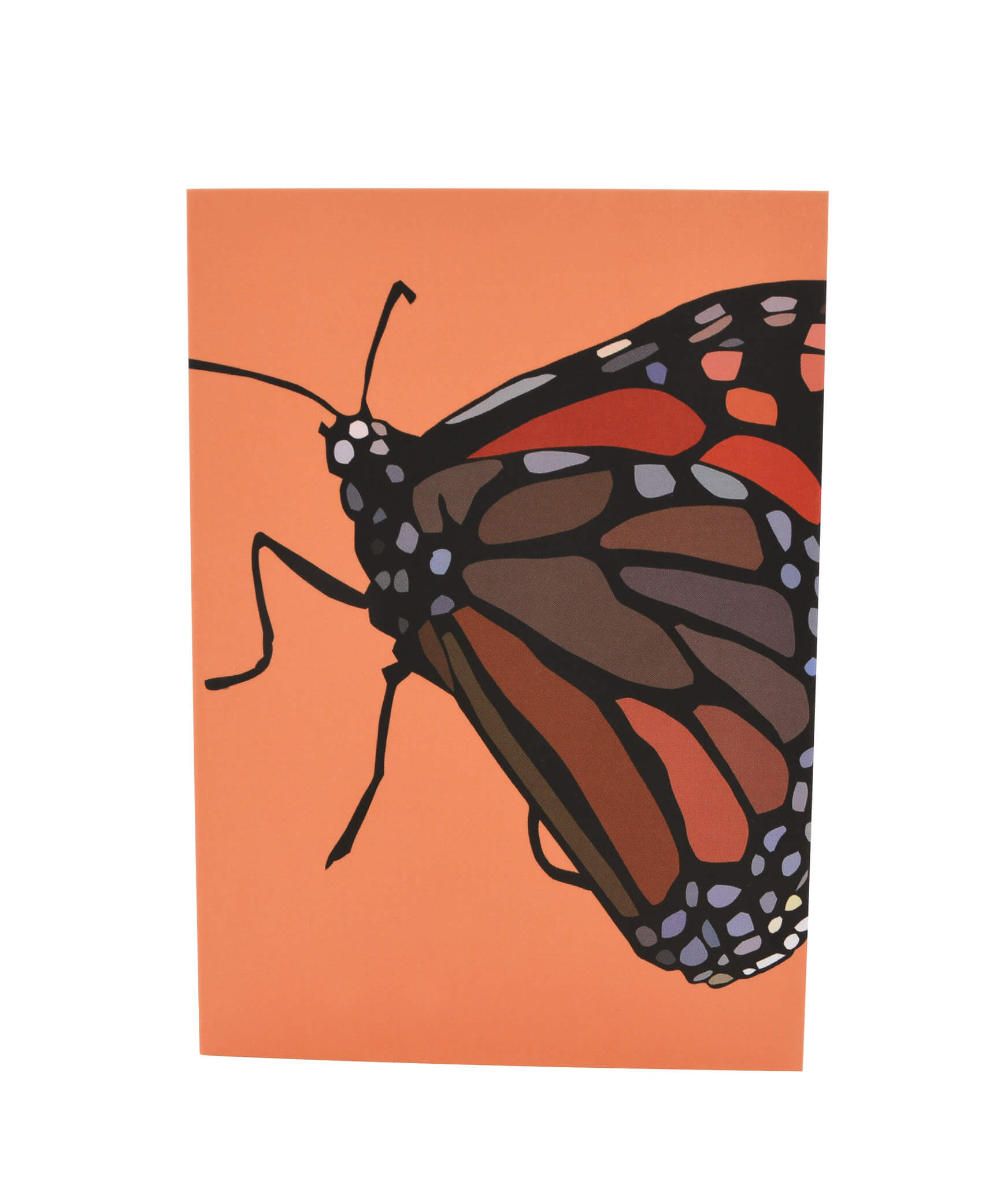 Greeting Card - Monarch butterfly 3