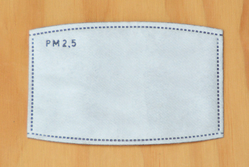 Face Mask - PM2.5 filter insert - pack of 10