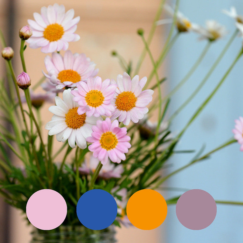 This is the original photo of a poesy of daisies that provided the colour palette for our Dear Daisy earrings: soft pink and lilac, blue and yellow. 