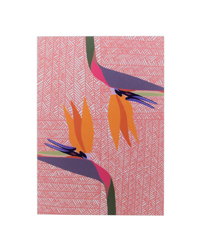 Greeting Card - Bird of Paradise