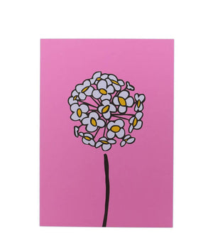 Greeting Card - Sweet Alyssum